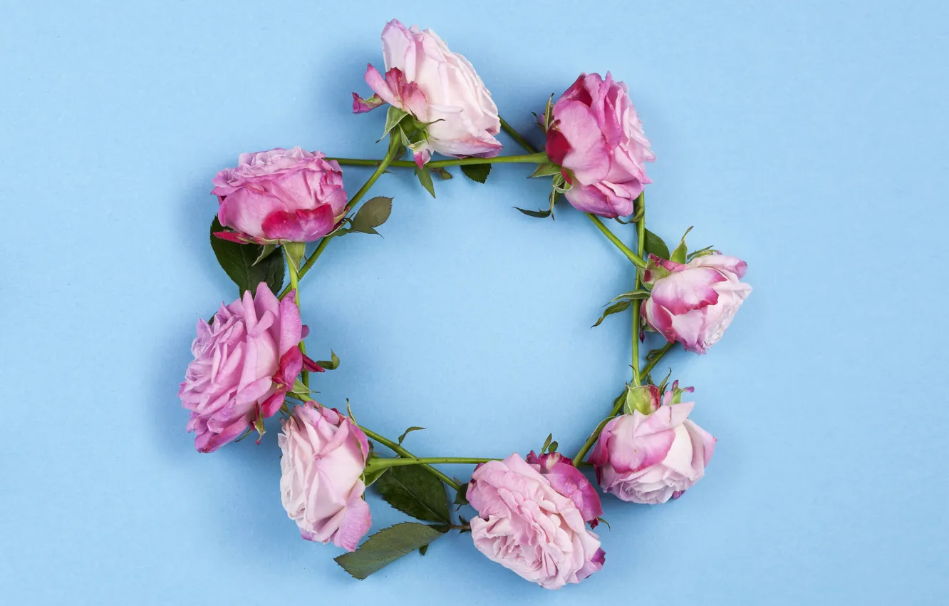 Photo wallpaper flowers, roses, pink, wreath, wood, pink, flowers, beautiful