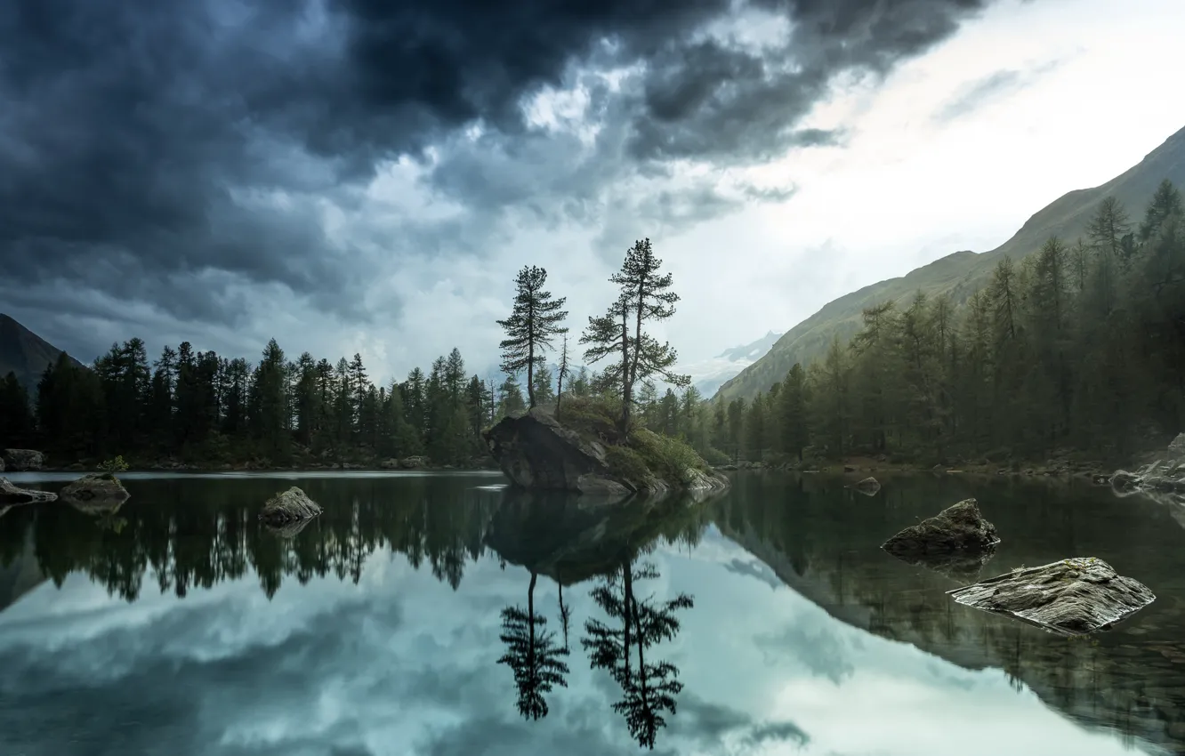 Photo wallpaper forest, nature, lake, morning
