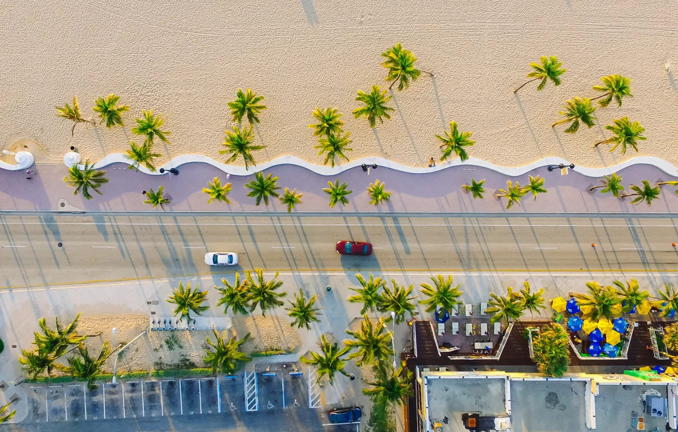 Photo wallpaper road, sand, beach, palm trees, coast, FL, resort, the view from the top, from the …