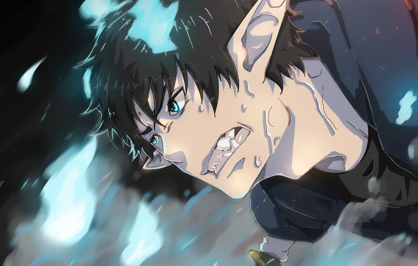 Photo wallpaper sword, Ao no Exorcist, Blue exorcist, Rin Okumura