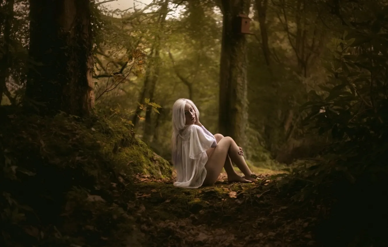 Photo wallpaper forest, girl, background
