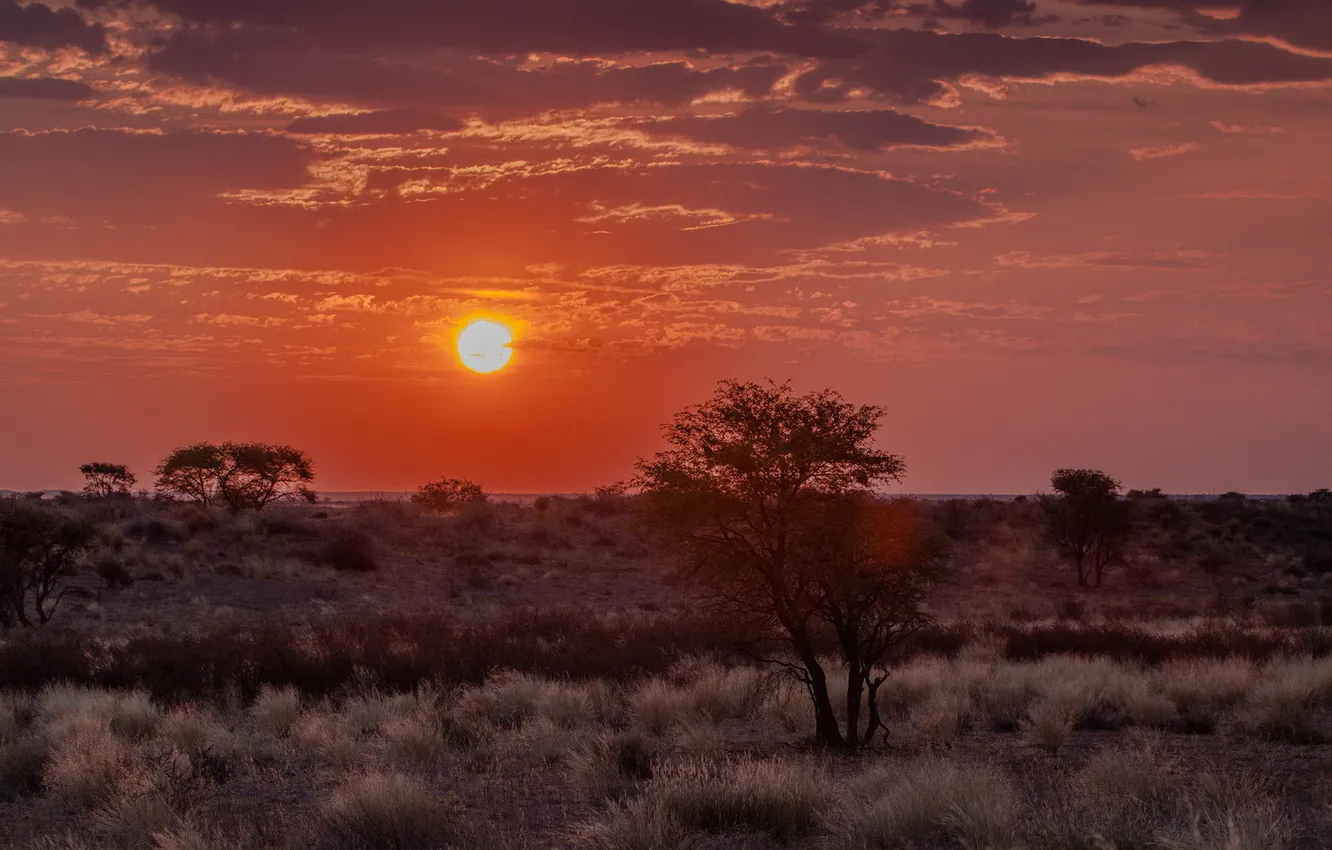 Photo wallpaper landscape, sunset, Africa