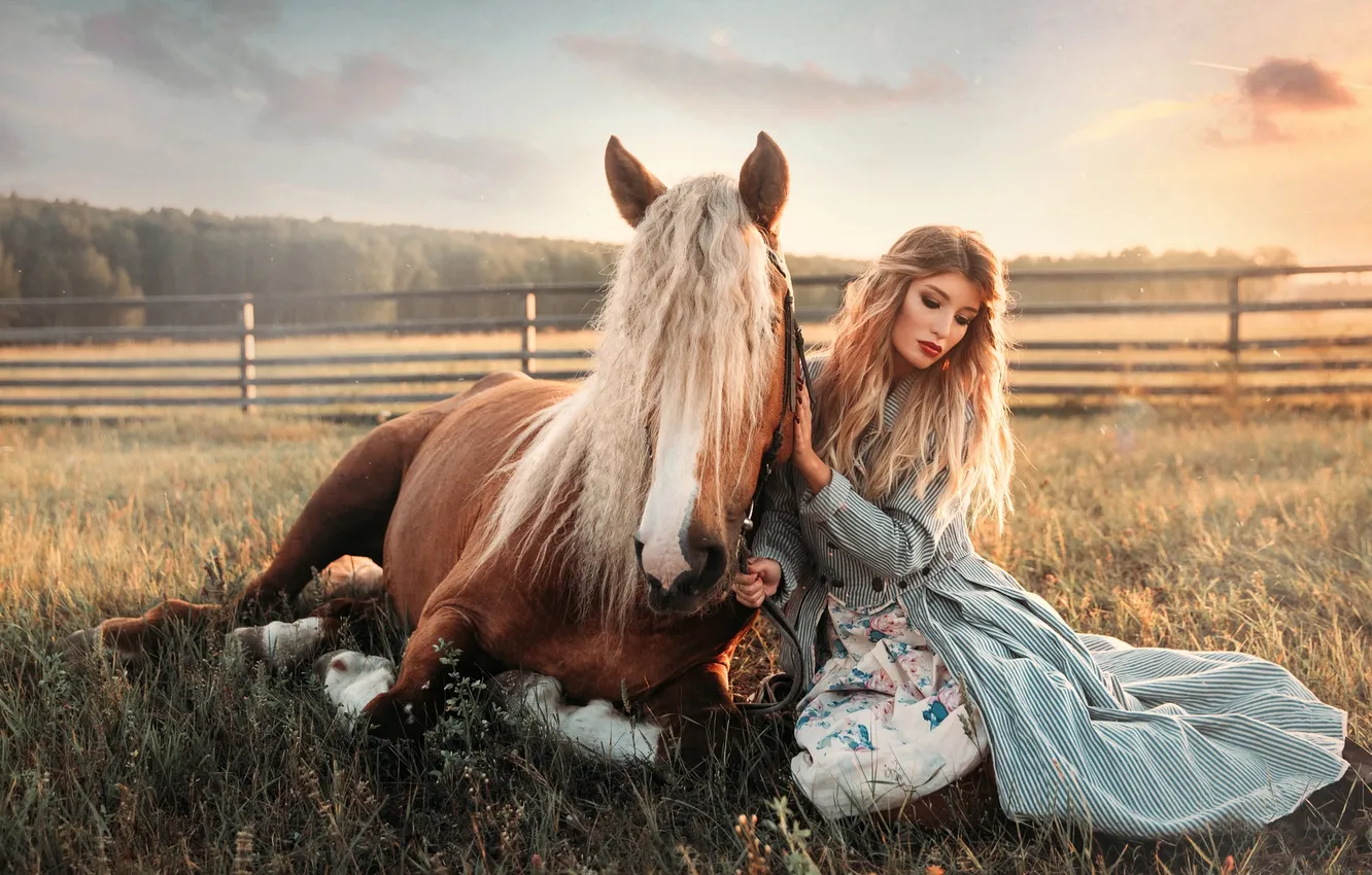 Photo wallpaper field, forest, summer, grass, girl, clouds, light, nature
