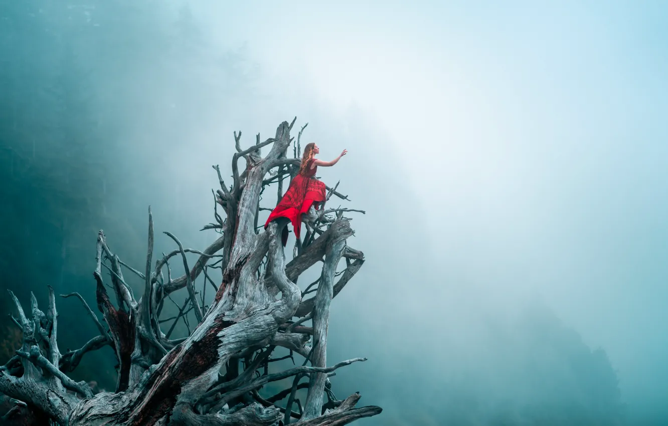 Photo wallpaper forest, the sky, girl, trees, branches, nature, pose, fog