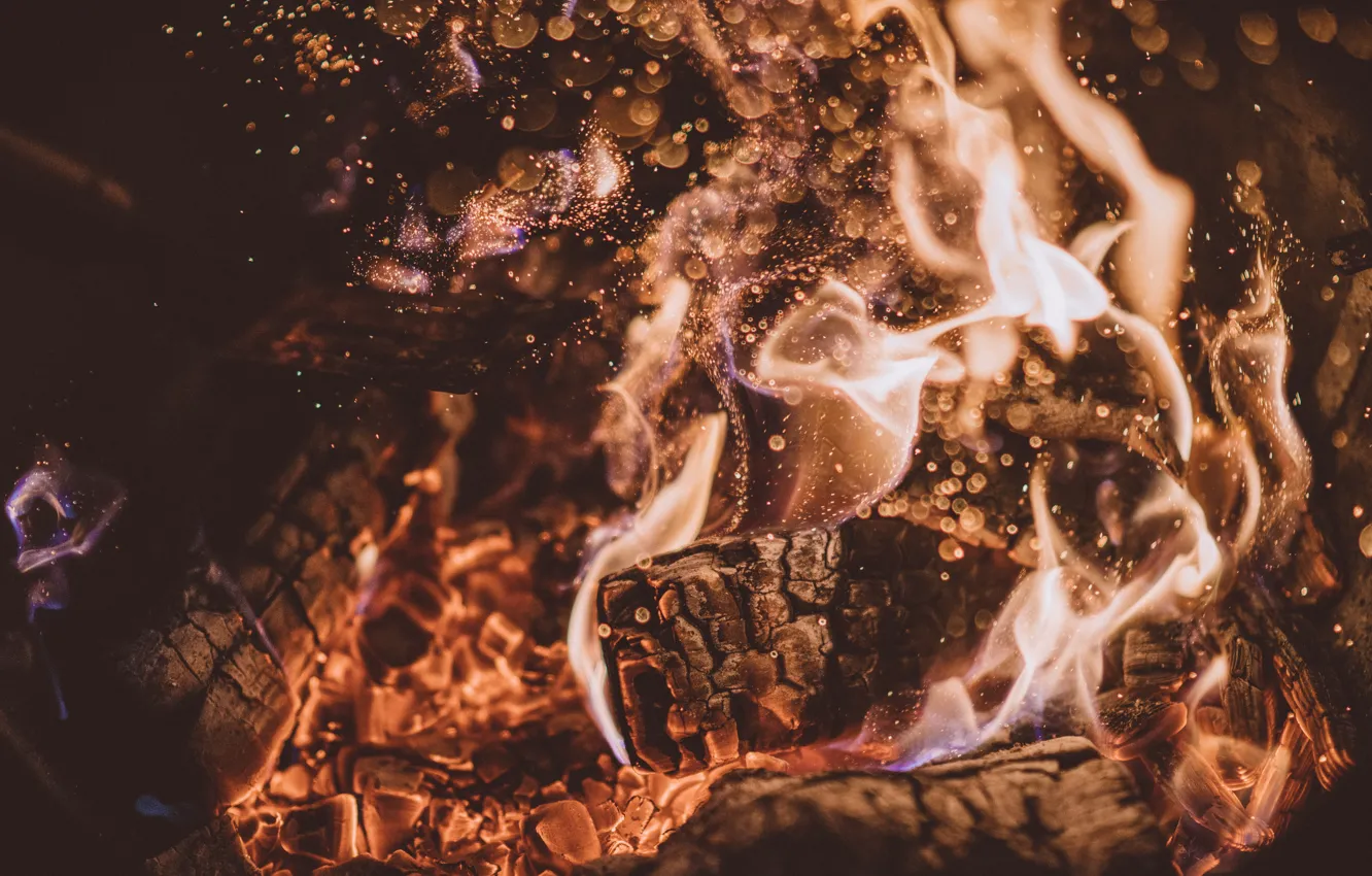 Photo wallpaper ash, fire, flame, the fire, wood, coal, fire