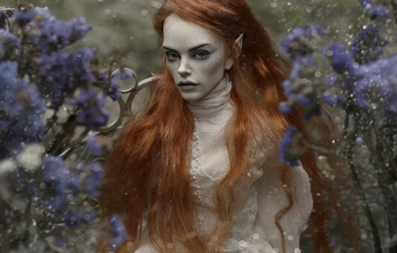 Photo wallpaper girl, hair, elf, doll, red