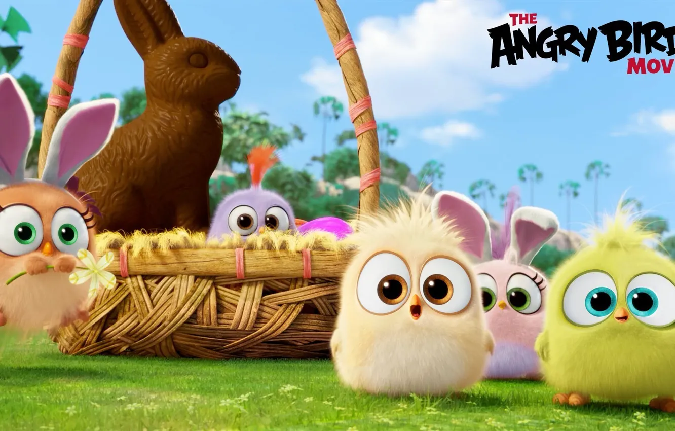 Photo wallpaper cartoon, chocolate, birds, basket, Bunny, Angry Birds Movie