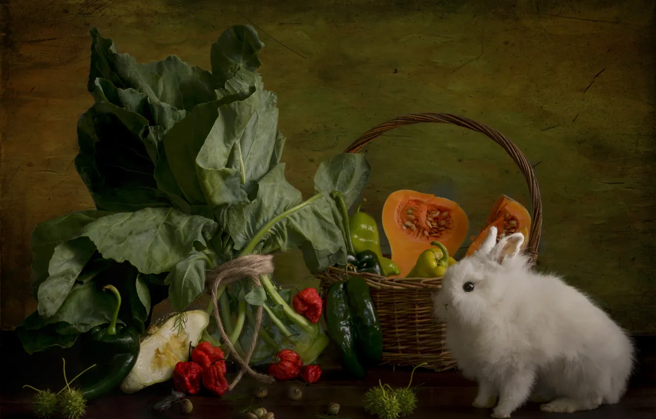 Photo wallpaper greens, white, leaves, table, rope, rabbit, fruit, pumpkin