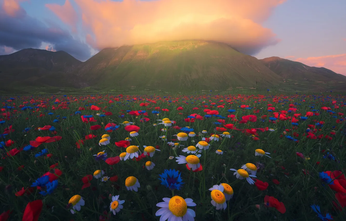 Photo wallpaper summer, clouds, flowers, mountains, nature