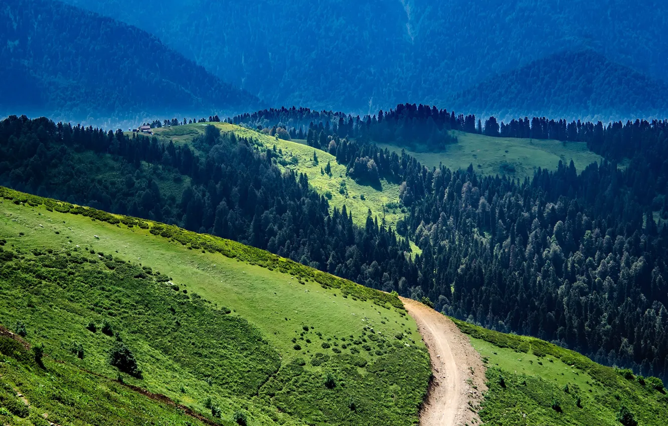 Photo wallpaper road, greens, forest, trees, mountains, slope, Russia, Sunny
