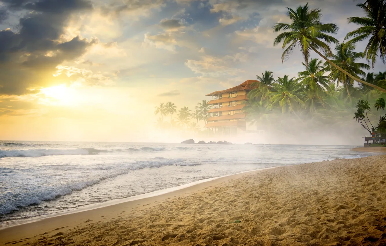 Photo wallpaper sand, sea, beach, palm trees, shore, summer, beach, sea