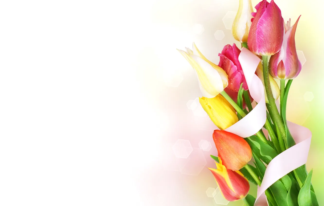 Photo wallpaper drops, bouquet, tape, tulips, flowers, beautiful, bokeh, spring