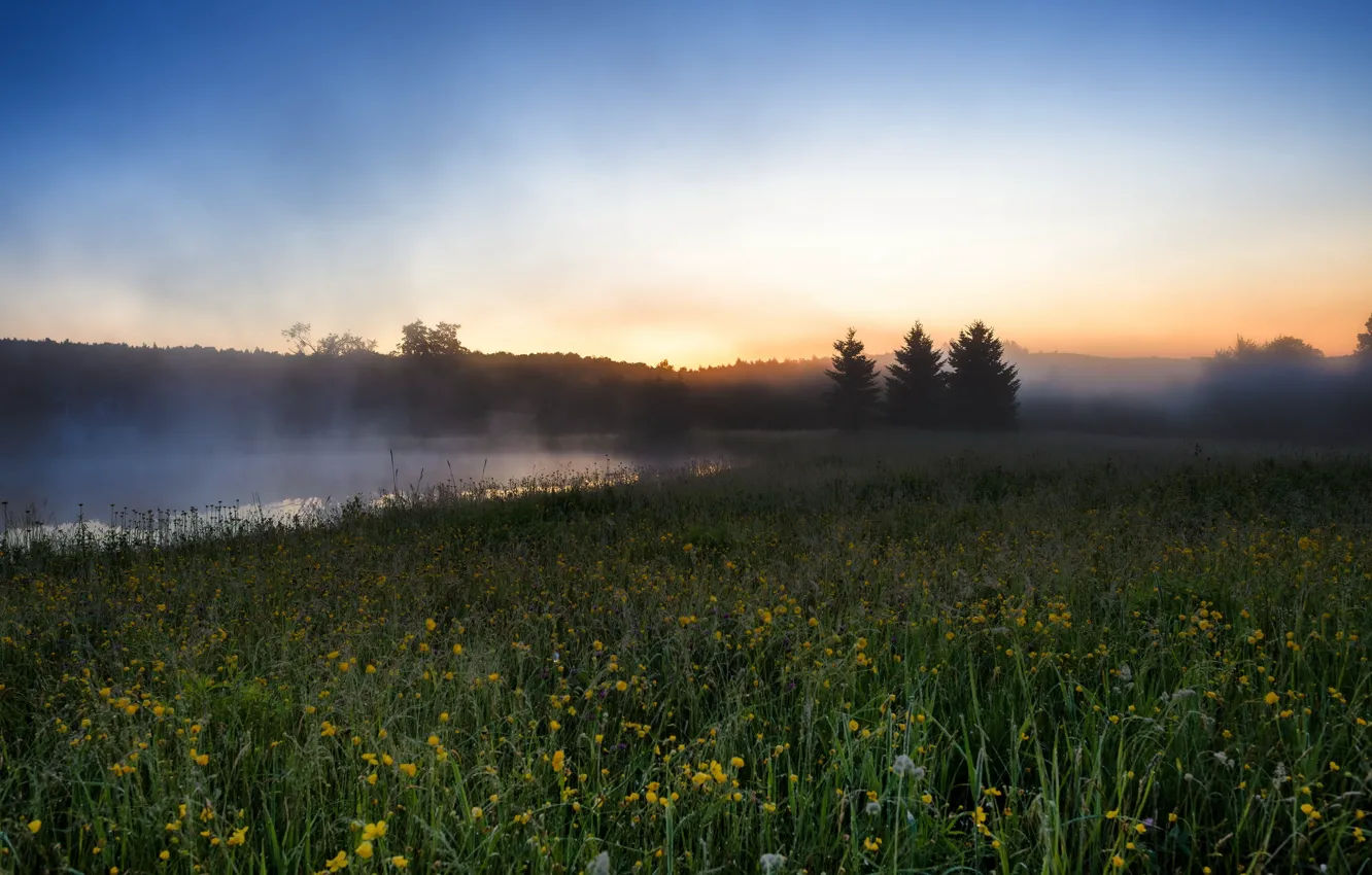 Photo wallpaper field, landscape, fog, river, morning