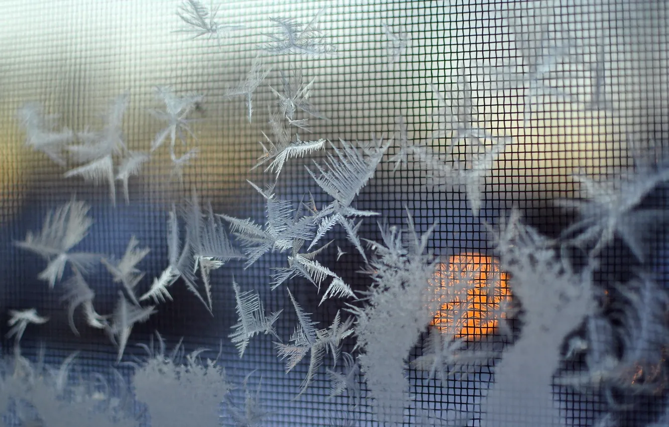 Photo wallpaper macro, snowflakes, background