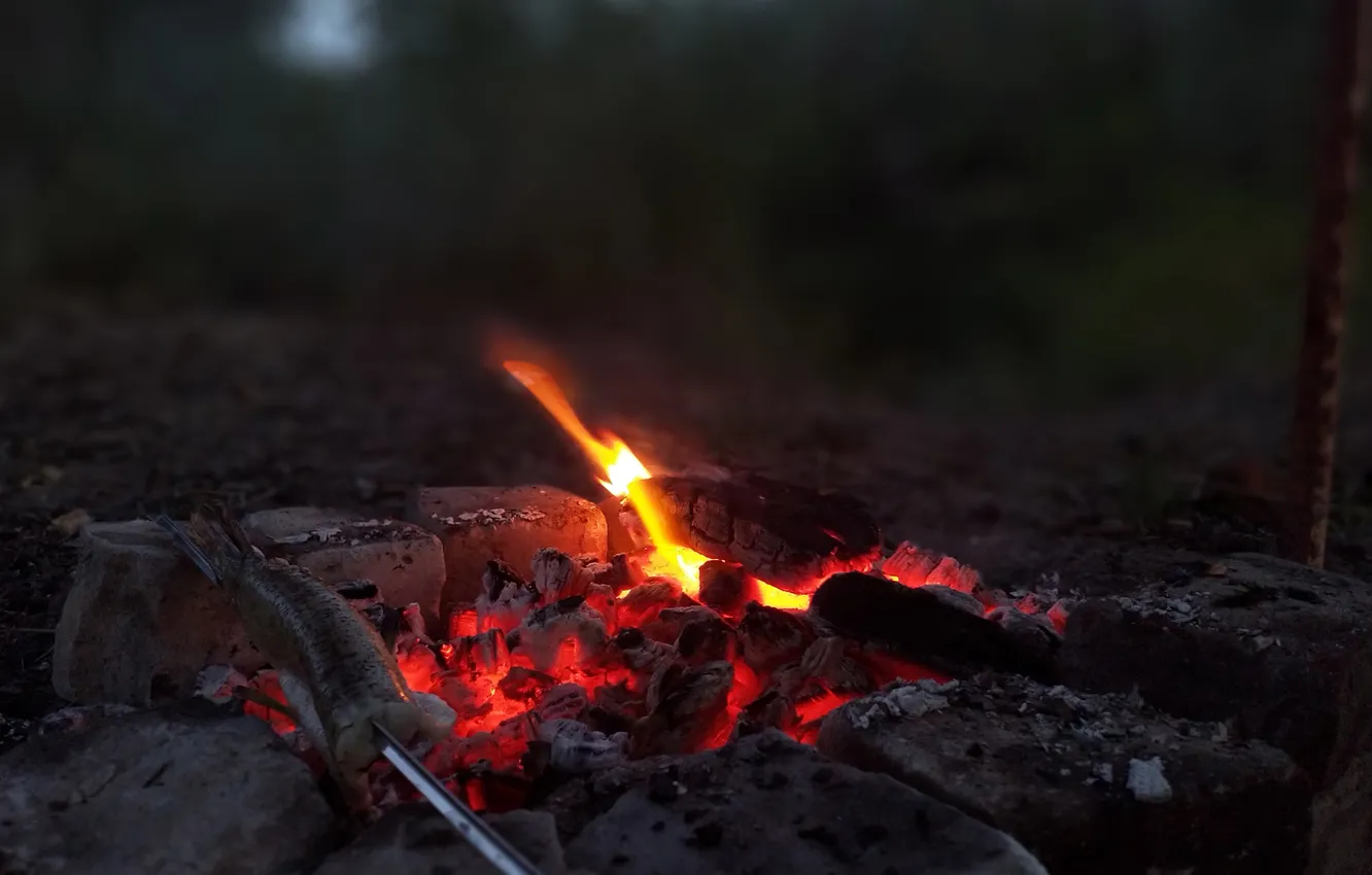 Photo wallpaper lights, coal, smoldering, pike on a skewer