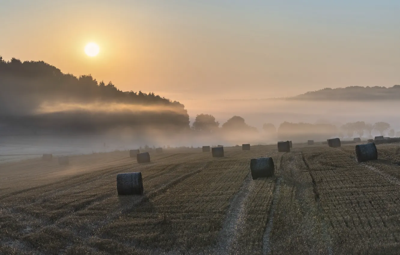 Photo wallpaper field, summer, fog, hay