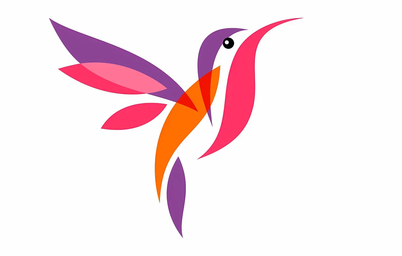 Photo wallpaper colorful, bird, multicolor, hummingbird, stylized hummingbird, short tail