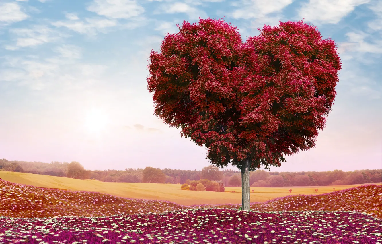 Photo wallpaper field, the sky, clouds, love, flowers, nature, tree, romance