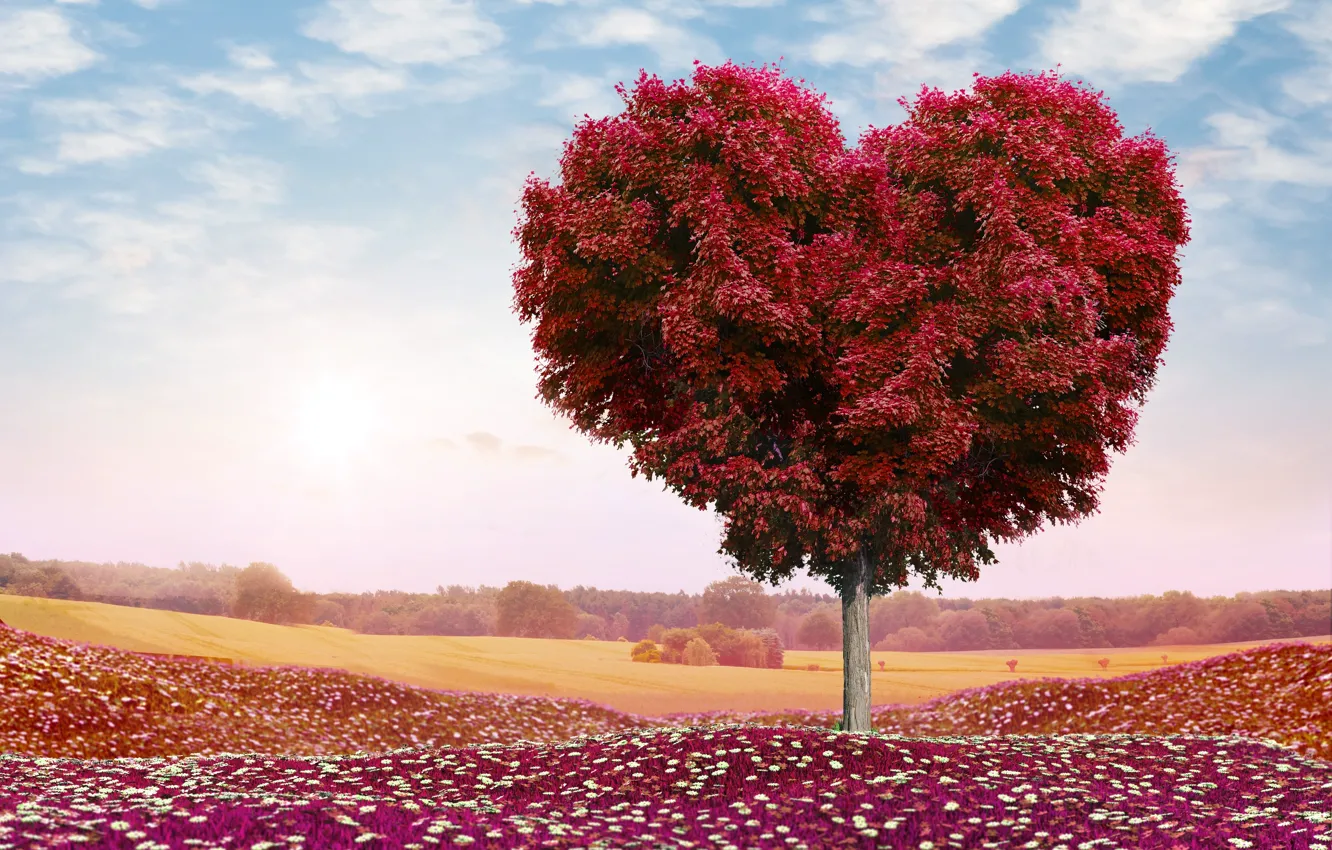 Photo wallpaper field, the sky, clouds, trees, love, flowers, nature, romance