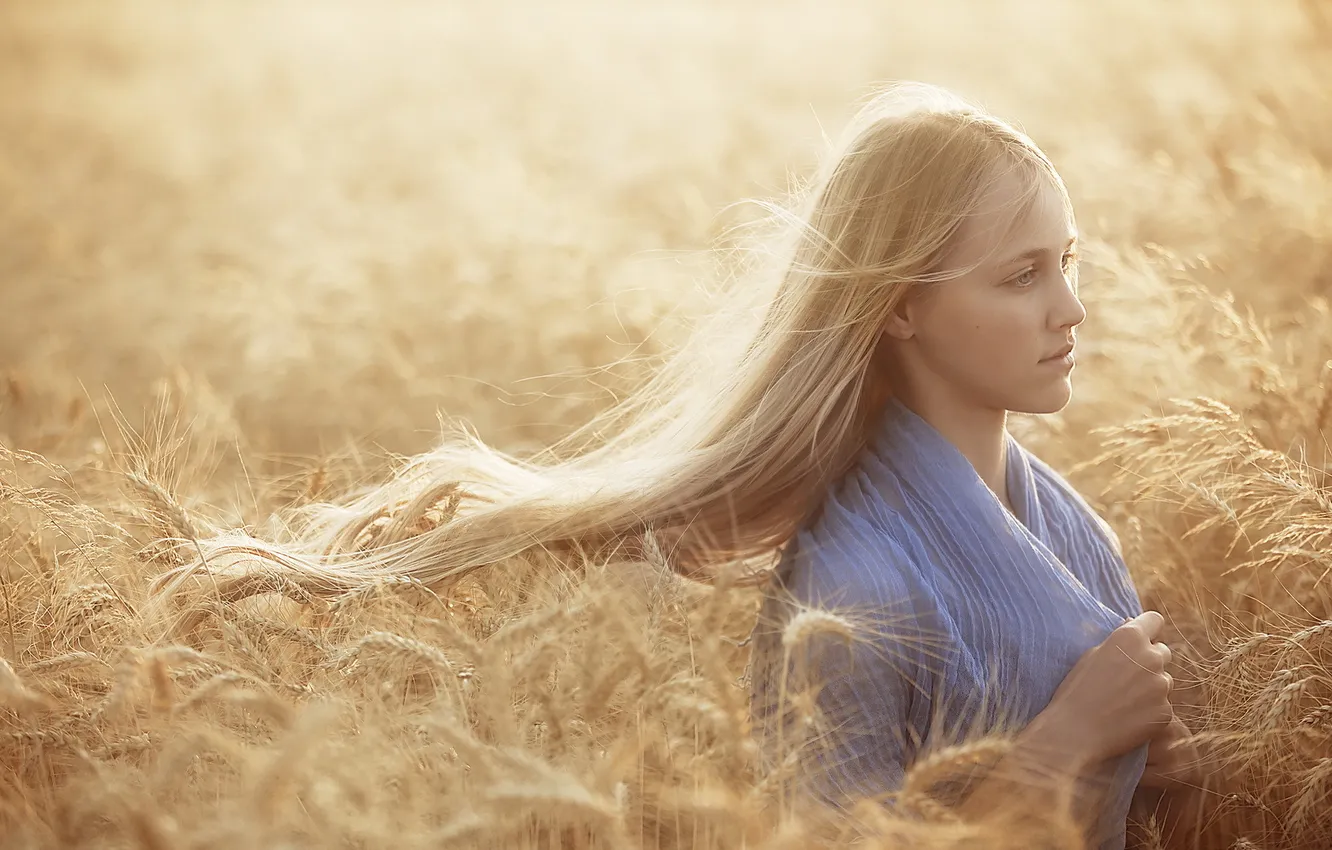 Photo wallpaper field, summer, girl, ears