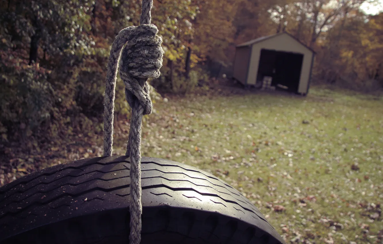 Photo wallpaper forest, glade, focus, rope, wheel, rope, house