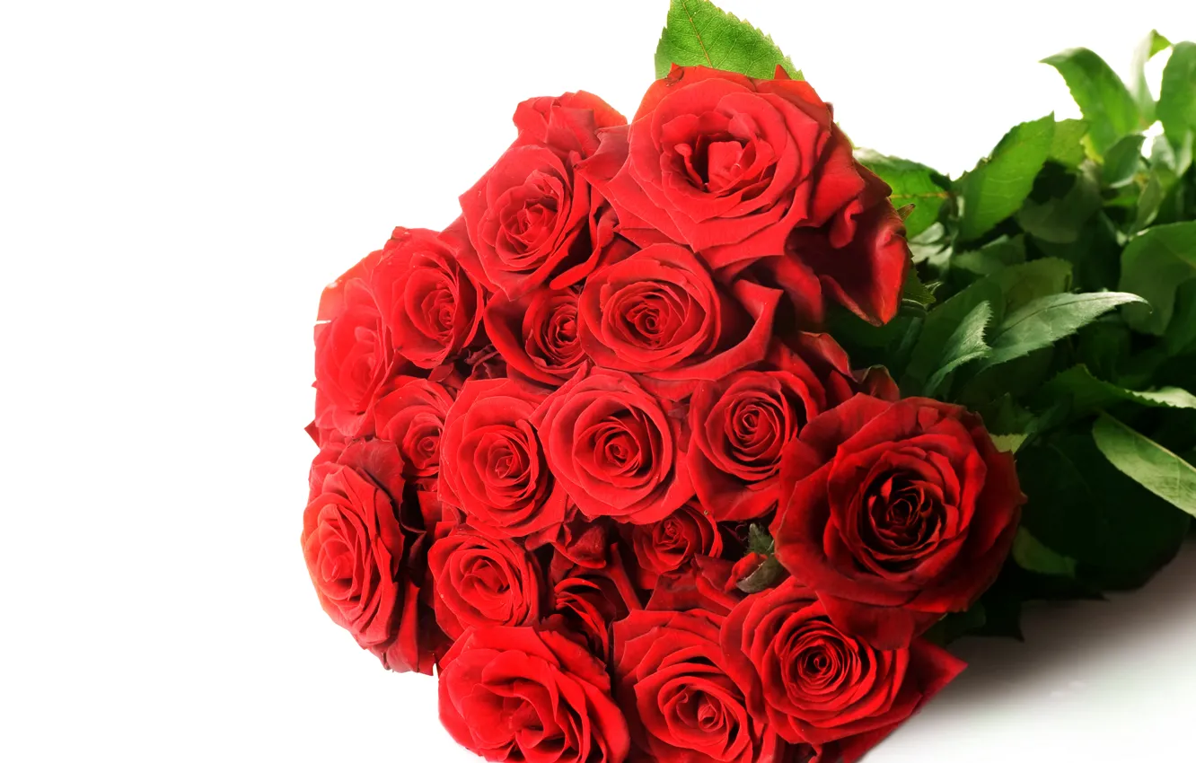Photo wallpaper flowers, red, photo, roses, bouquet