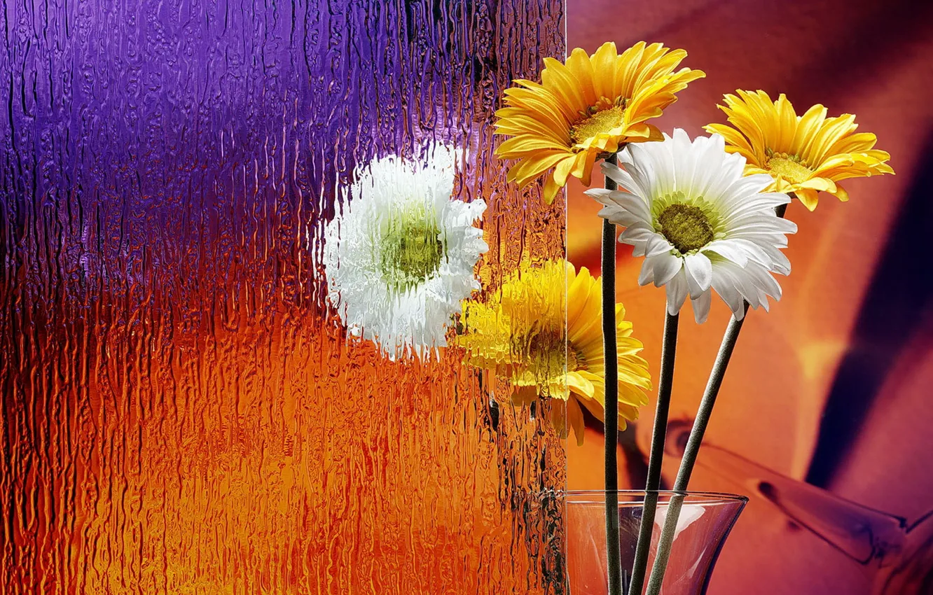 Photo wallpaper glass, flowers, vase, gerbera