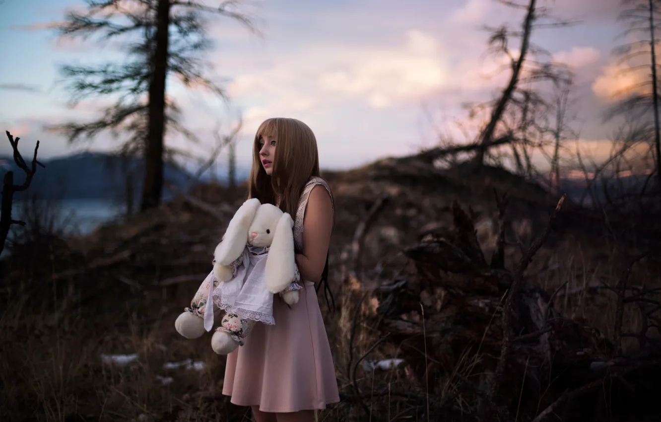Photo wallpaper forest, girl, toy, dress, Lichon