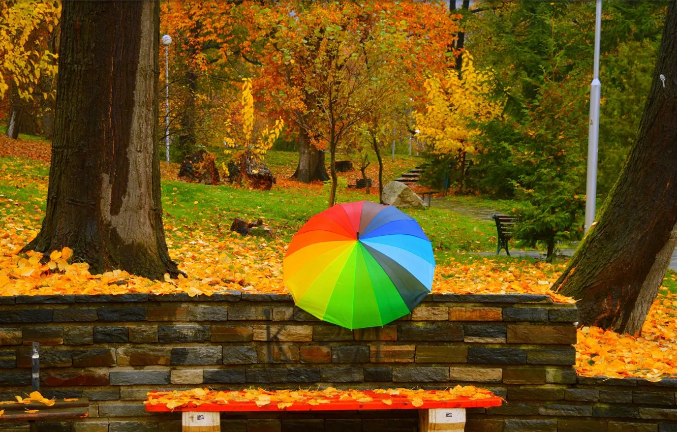 Photo wallpaper Autumn, Trees, Umbrella, Park, Fall, Foliage, Park, Autumn