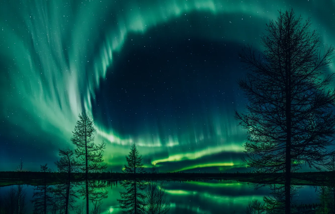 Photo wallpaper colors, trees, night, polar halo