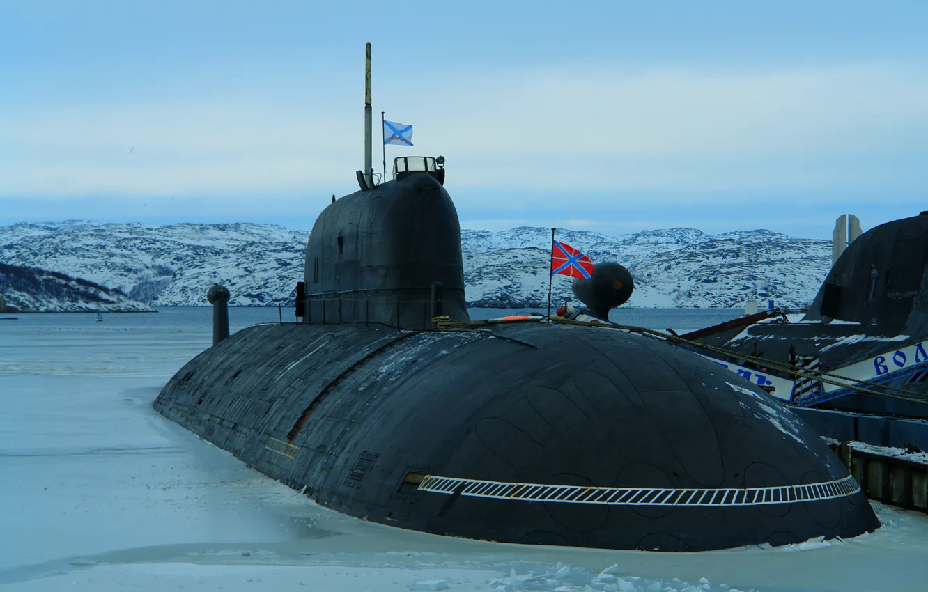 Photo wallpaper wolf, submarine, Cheetah