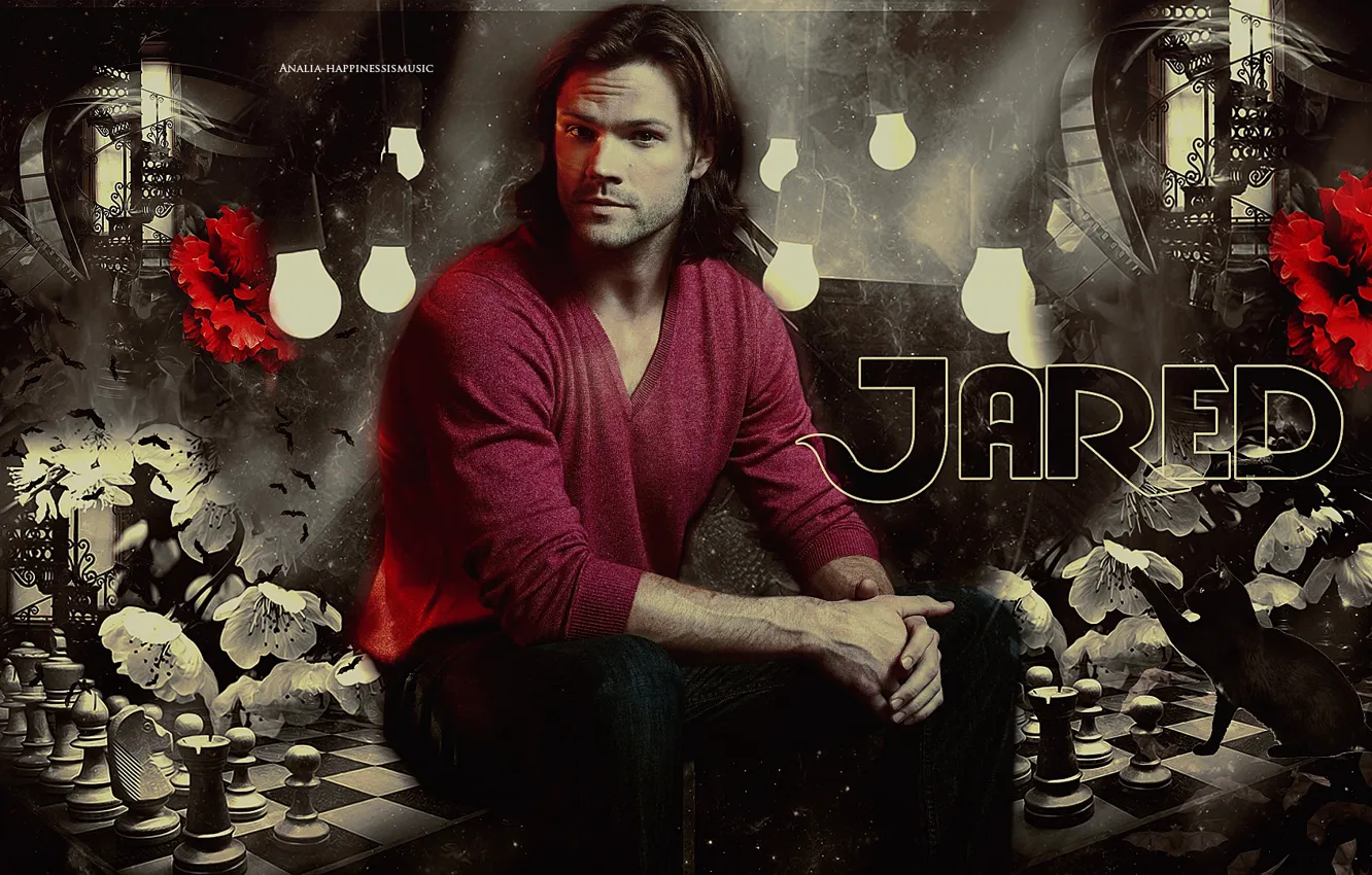 Photo wallpaper cat, flowers, collage, chess, actor, light bulb, Supernatural, Jared Padalecki