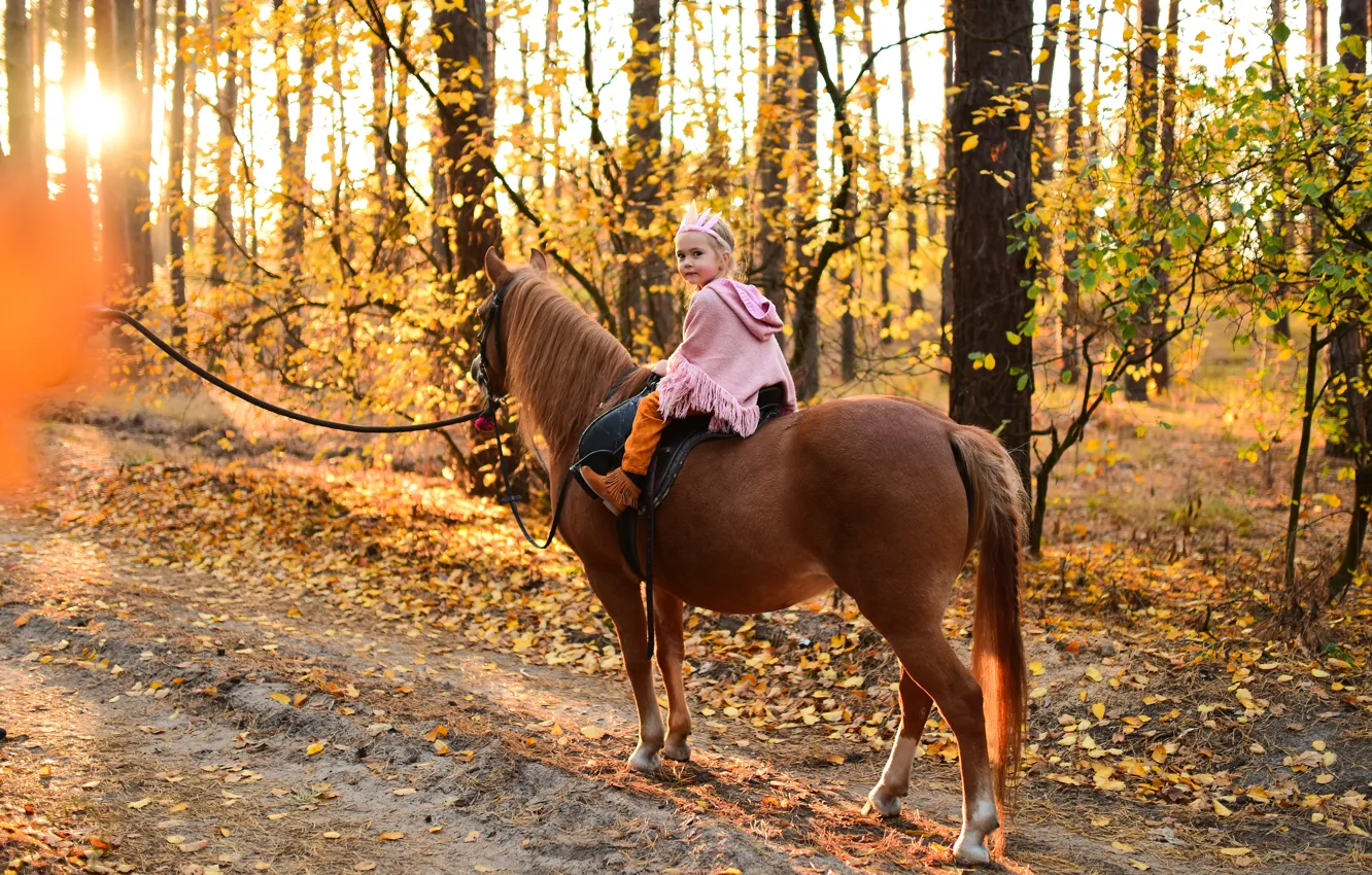 Photo wallpaper road, autumn, forest, look, children, horse, horse, girl