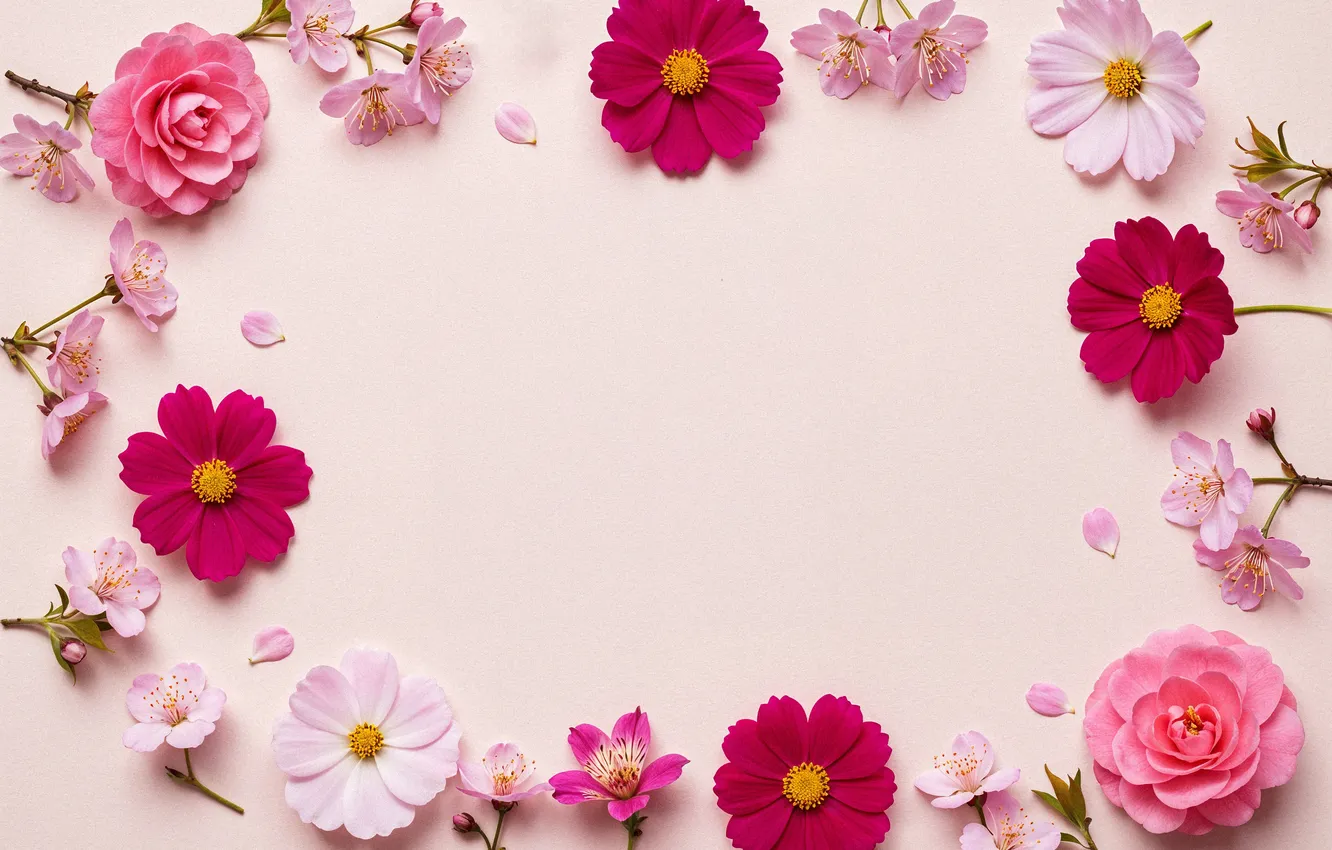 Photo wallpaper flowers, frame, colorful, pink, flowers, frame, floral