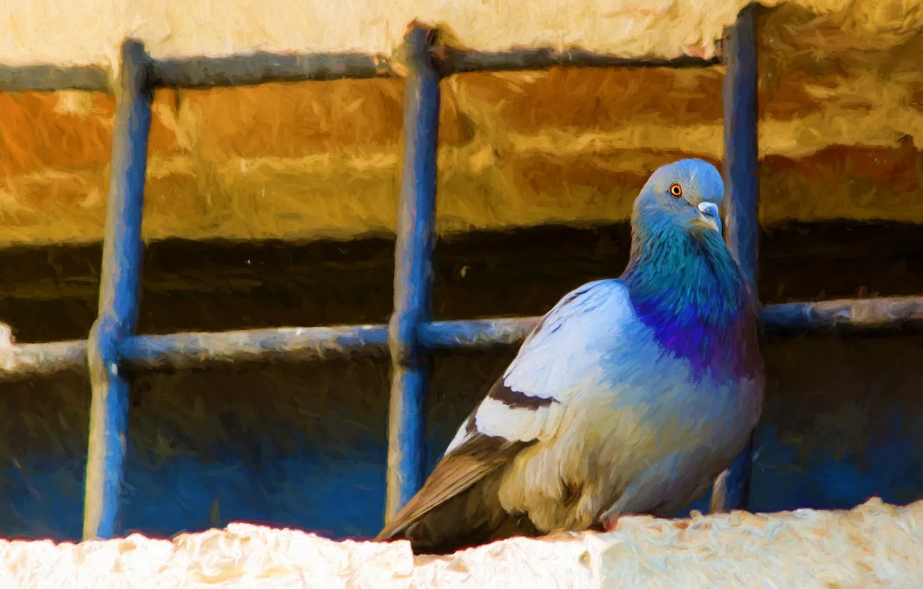 Photo wallpaper roof, bird, grille, pigeons, painting