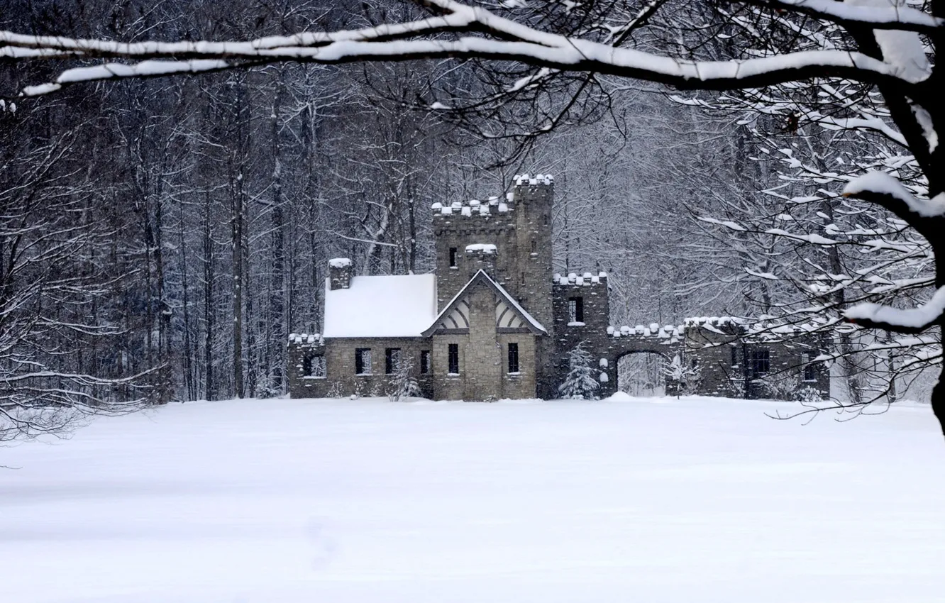 Photo wallpaper winter, forest, house