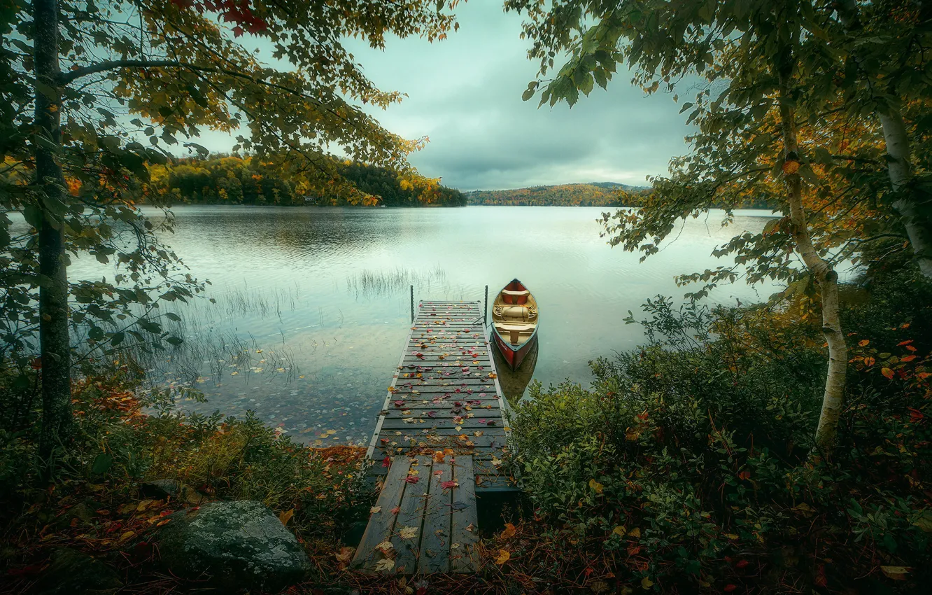 Photo wallpaper autumn, trees, lake, boat, Canada, Ontario, Canada, Ontario