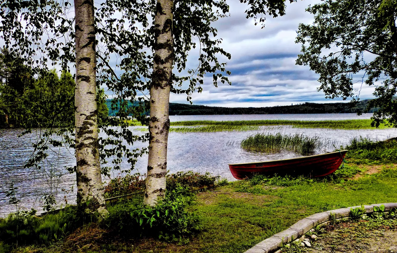 Photo wallpaper grass, lake, shore, boat, reed, birch