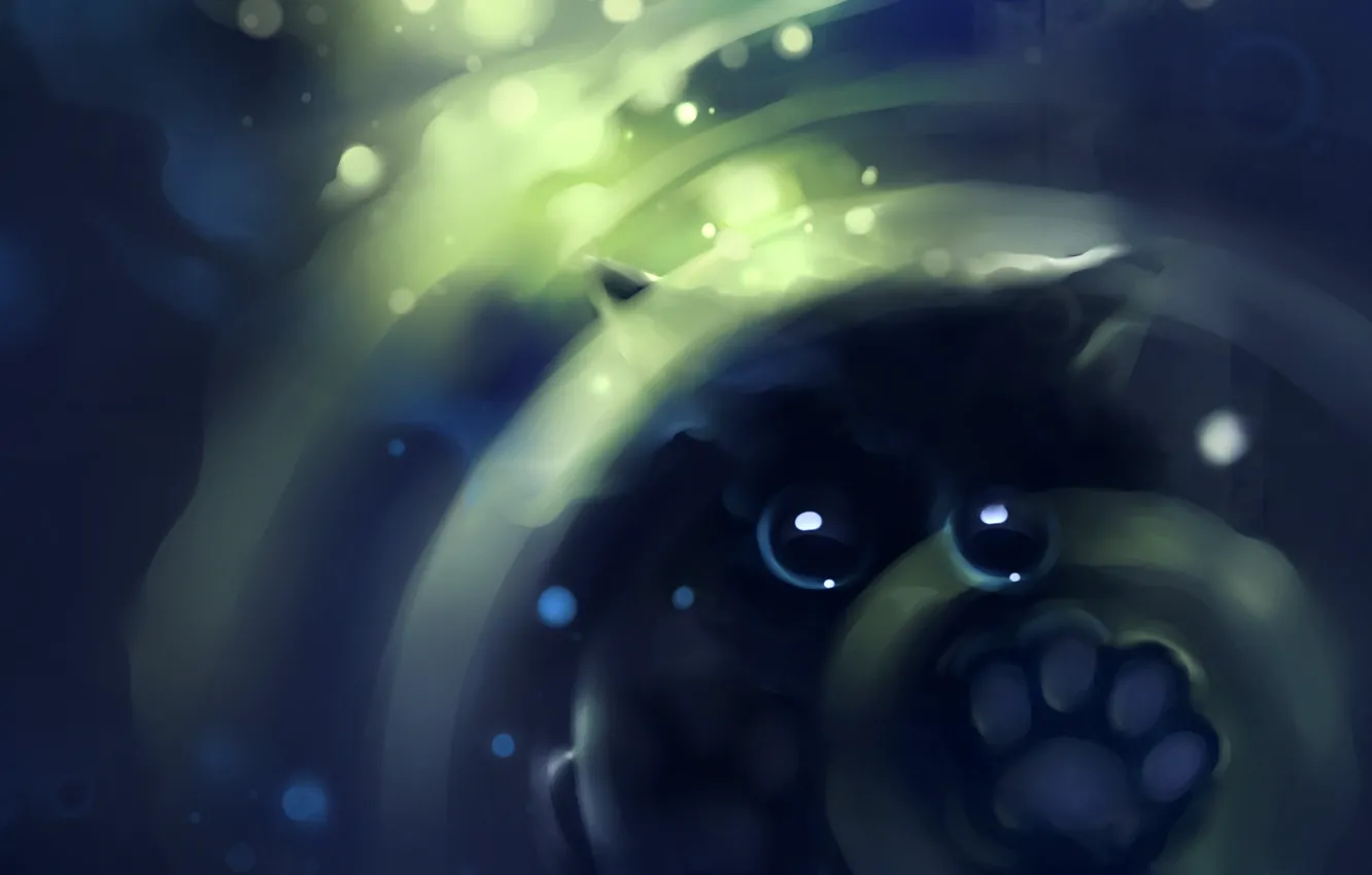 Photo wallpaper figure, Kote, apofiss