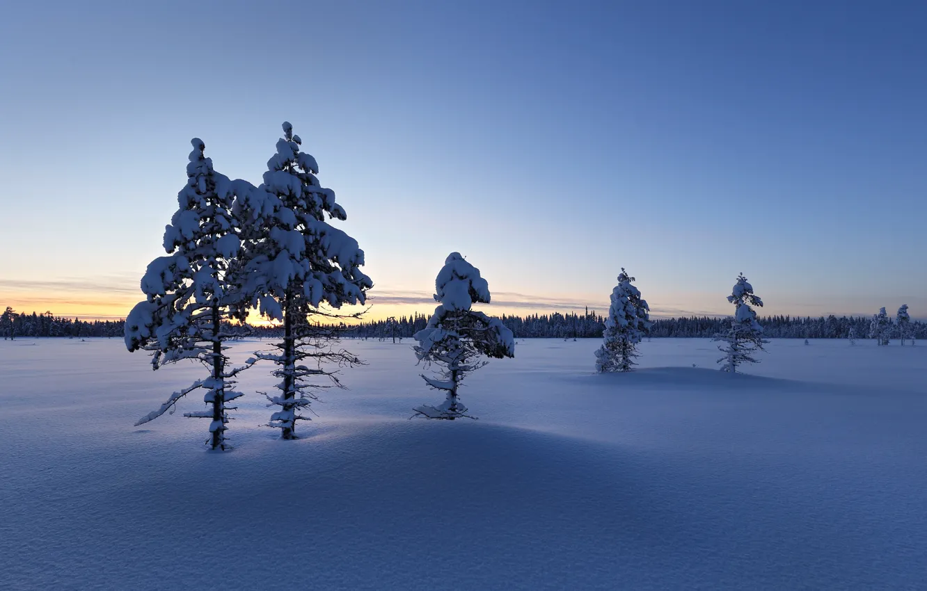 Photo wallpaper winter, snow, morning, Finland, Lapland