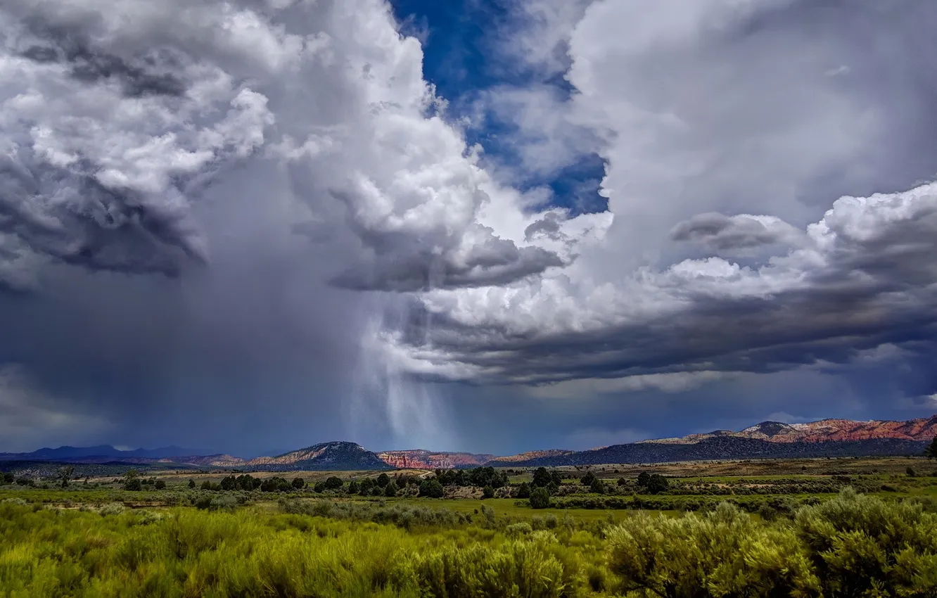 Photo wallpaper greens, forest, the sky, clouds, trees, mountains, clouds, nature