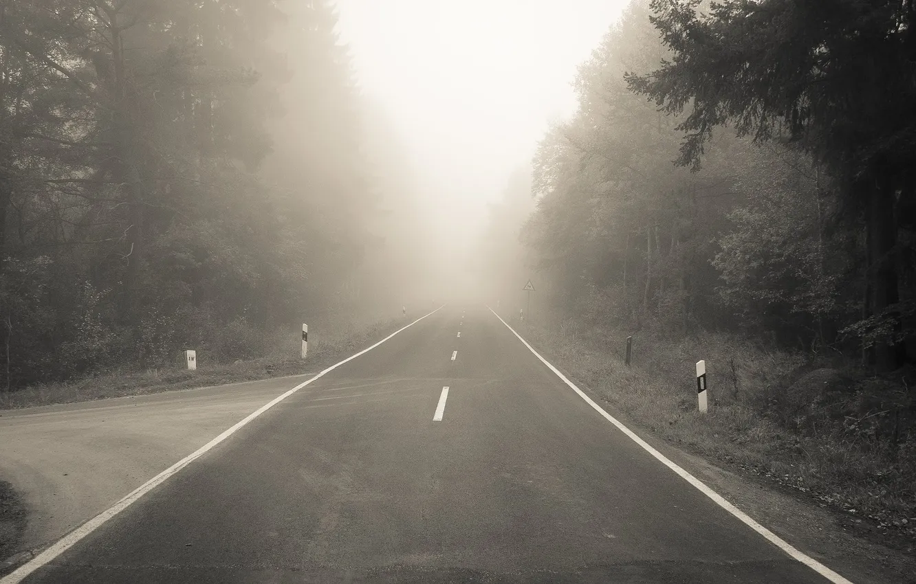 Photo wallpaper road, forest, fog, markup, turn