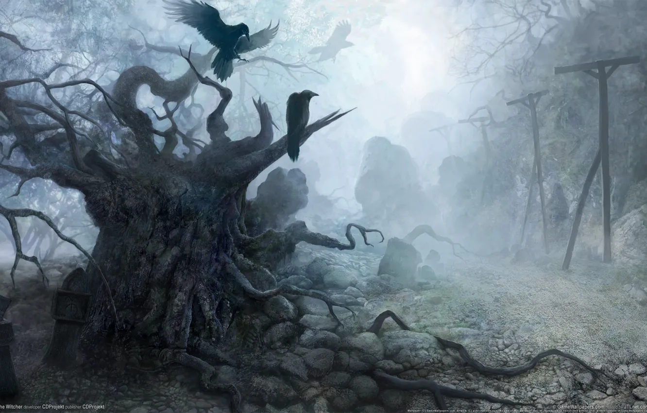 Photo wallpaper the darkness, figure, Stones, crows, the witcher