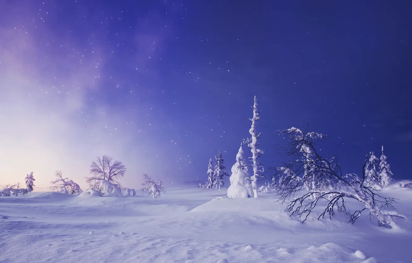Photo wallpaper winter, snow, trees, the snow, Finland, Finland, Lapland, Lapland