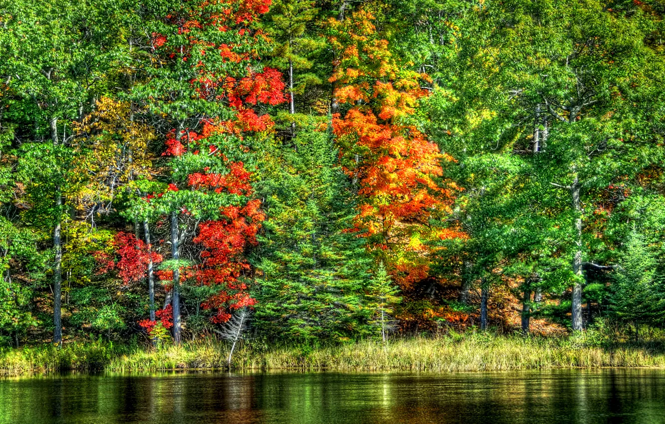 Photo wallpaper autumn, forest, water, trees, landscape, nature, lake