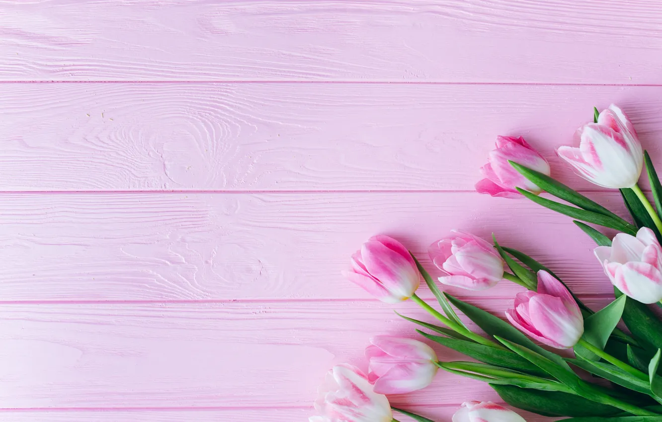 Photo wallpaper flowers, tulips, pink, wooden background