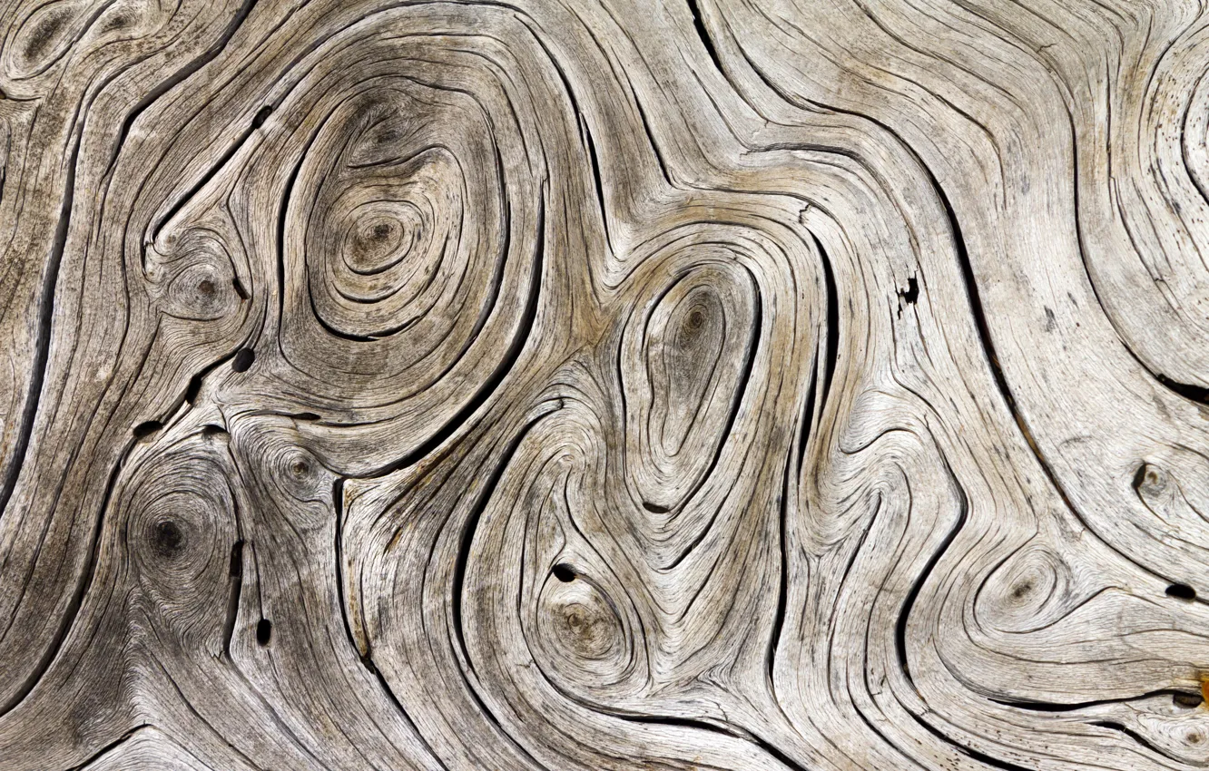 Photo wallpaper wood, gray, streaks