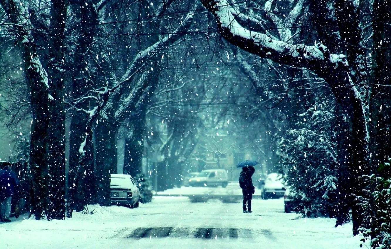 Photo wallpaper road, girl, snow, trees, photo, background, mood, Wallpaper