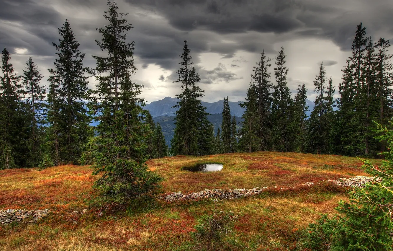 Photo wallpaper grass, mountains, clouds, stones, tree
