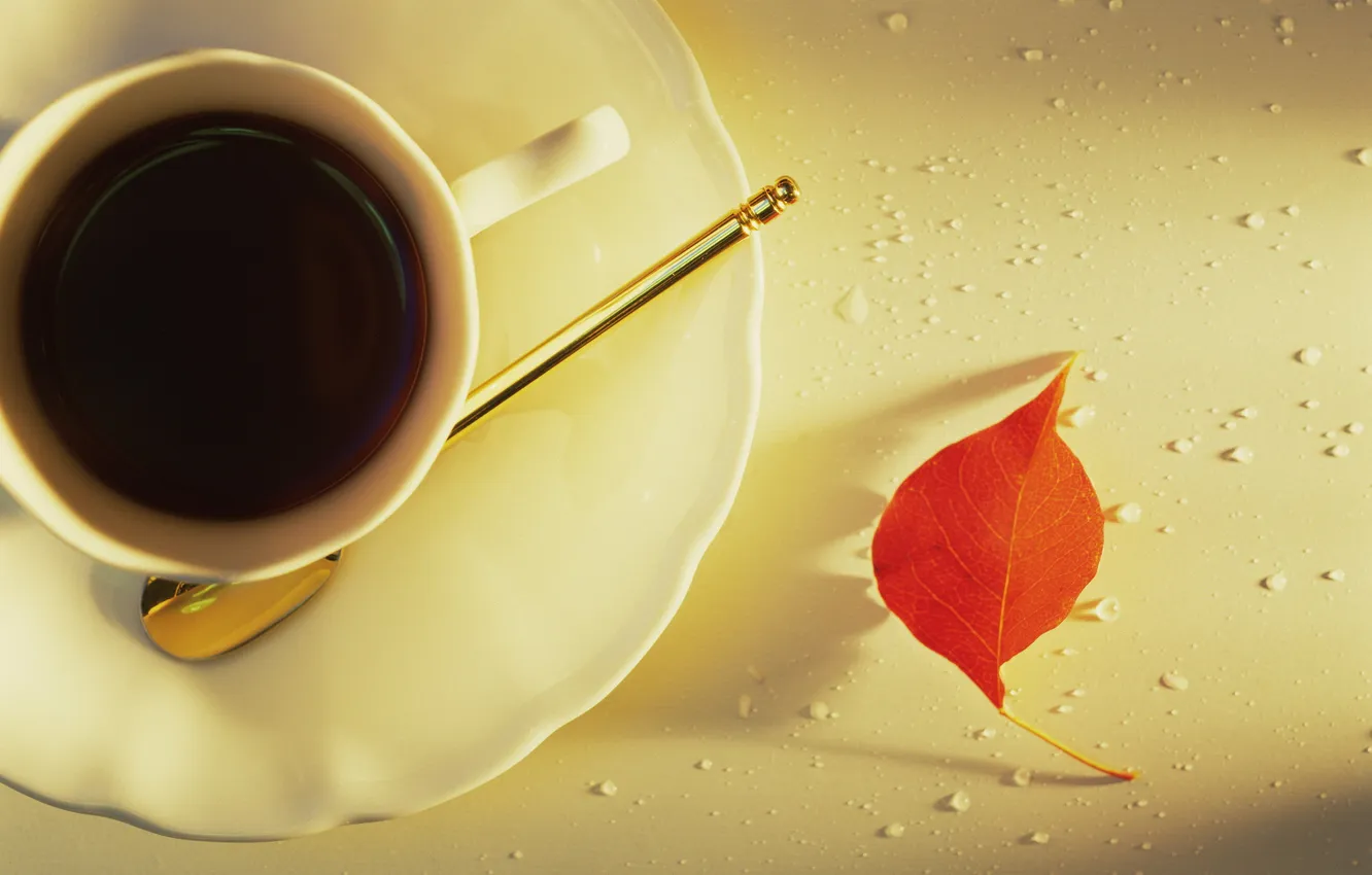 Photo wallpaper background, Wallpaper, tea, mood, petal, mug, Cup, leaf